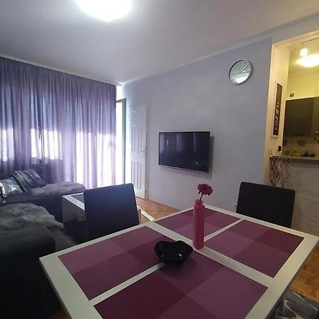 Cezar Apartment Belgrad Exteriör bild