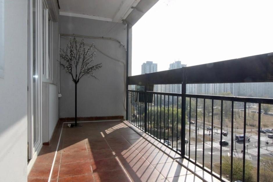 Cezar Apartment Belgrad Exteriör bild